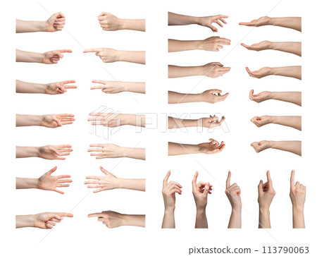 female hand gesture set. Showing empty palm, fingers, wrist, arm. Business concept, isolated icon female hand gesture set. Showing empty palm, fingers, wrist, arm. Business concept, isolated icon 113790063