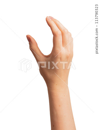 Hand gestures, signs in communication. Human skin, fingers, body part express nonverbal concept. Hand gestures, signs in communication. Human skin, fingers, body part express nonverbal concept. 113790323