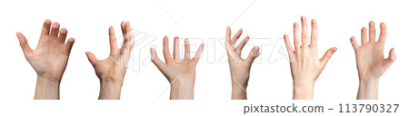 hand showing empty gesture. Caucasian female palm, arm, wrist with blank sign, symbol. Abstract hand showing empty gesture. Caucasian female palm, arm, wrist with blank sign, symbol. Abstract 113790327