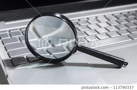 Magnify your online business with keyword search. Investigate data, find information through 113790337