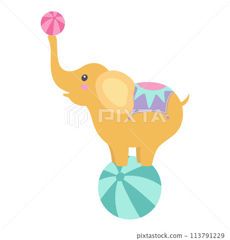 circus elephant with ball 113791229