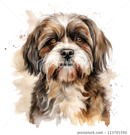 Brown and White Dog Sticking Out Tongue 113791589