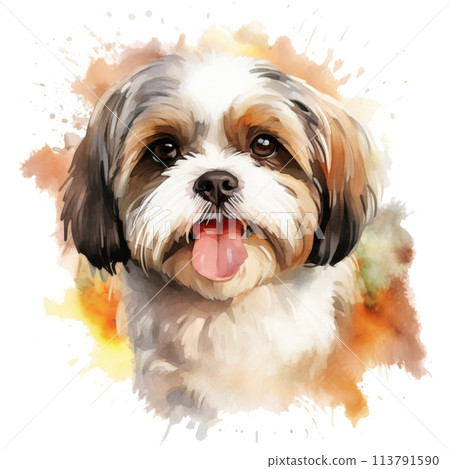 Brown and White Dog Sticking Out Tongue 113791590