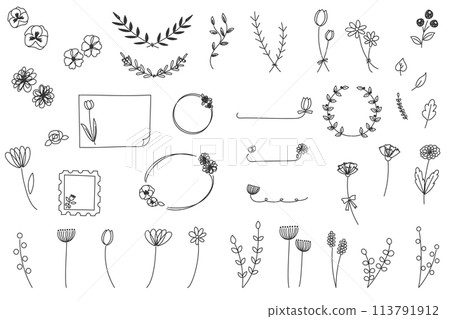 Stylish hand-drawn line flower set Stylish hand-drawn line flower set 113791912