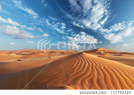 Ripples in the sand of a dune in a desert 113792124