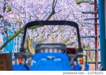 杏農場[千曲市/杏之裡] 113792251