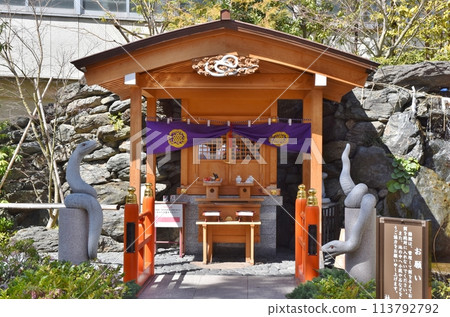 Hebi-kubo Shrine on a clear spring day, Tokyo Hebi-kubo Shrine on a clear spring day, Tokyo 113792792