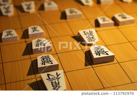 第9屆 Eio 比賽第一局將棋戰績 113792970