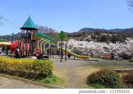 Cherry blossoms at Tsukiyonoyase Waterside Park Cherry blossoms at Tsukiyonoyase Waterside Park 113793203