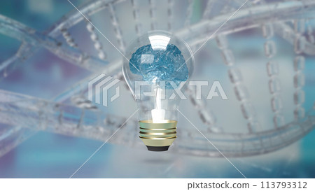 The Brain light bulb on dna background  for education or creative inspiration concept 3d rendering. 113793312