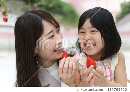 家長和孩子一起體驗採摘草莓的樂趣 家長和孩子一起體驗採摘草莓的樂趣 113793510