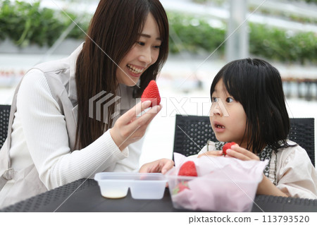 Parents and children enjoying strawberry picking Parents and children enjoying strawberry picking 113793520