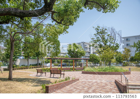 神奈川縣橫濱市金澤區並木中茂公園 神奈川縣橫濱市金澤區並木中茂公園 113793563