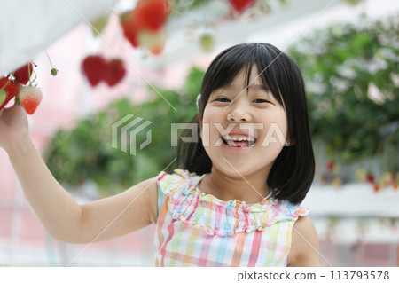 Girl enjoying strawberry hunting 113793578