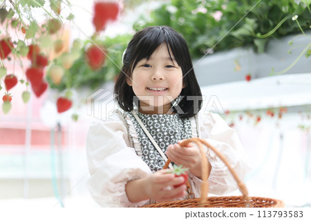 Girl enjoying strawberry hunting Girl enjoying strawberry hunting 113793583