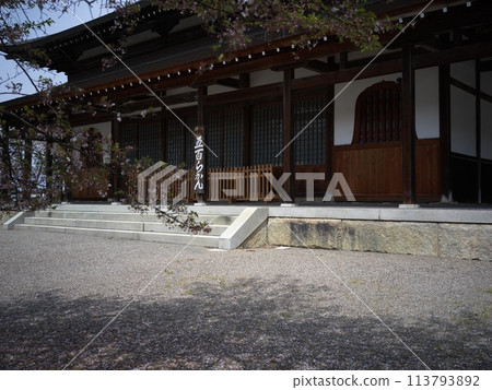 彥根天寧寺500羅漢 彥根天寧寺500羅漢 113793892