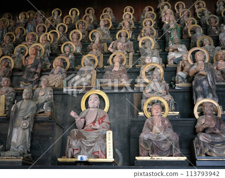 Five hundred arhat statues at Tenneiji Temple in Hikone 113793942