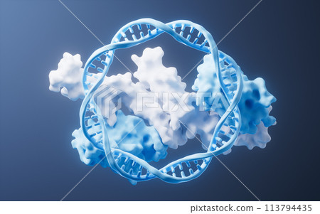 DNA and protein with biological concept, 3d rendering. DNA and protein with biological concept, 3d rendering. 113794435