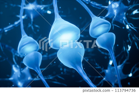 Biology nerve cell with biomedicine concept, 3d rendering. Biology nerve cell with biomedicine concept, 3d rendering. 113794736