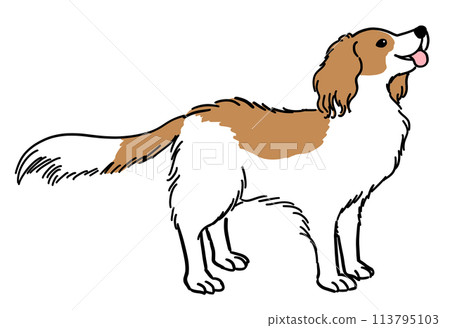 Koikerhondier 的插圖 113795103