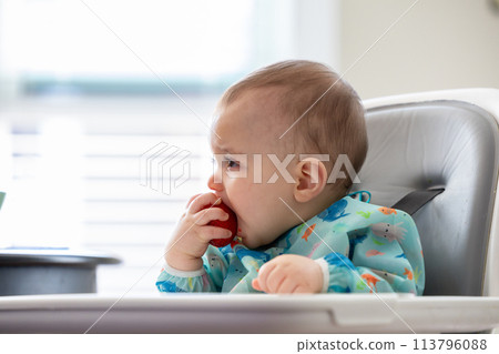 Caucasian Baby Boy eating Strawberry at home. Bright Background Caucasian Baby Boy eating Strawberry at home. Bright Background 113796088