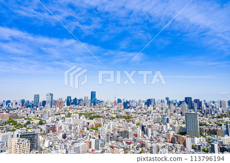 日本首都東京市景 日本首都東京市景 113796194