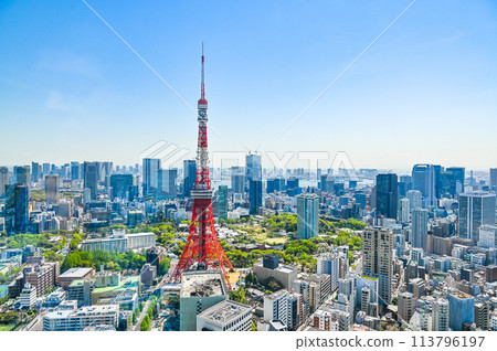 Cityscape of Tokyo, the capital of Japan 113796197