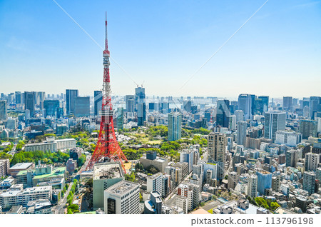Cityscape of Tokyo, the capital of Japan Cityscape of Tokyo, the capital of Japan 113796198