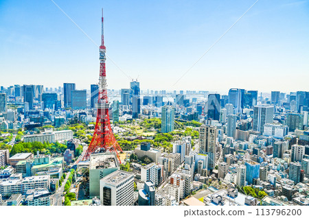 Cityscape of Tokyo, the capital of Japan Cityscape of Tokyo, the capital of Japan 113796200