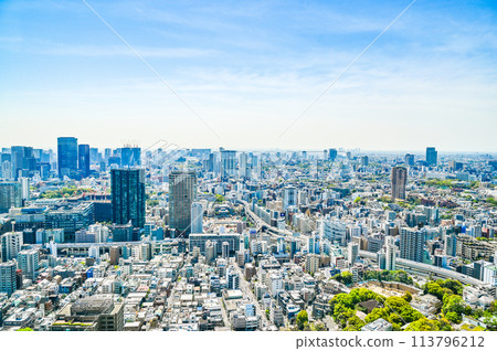 日本首都東京市景 113796212