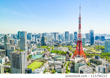 Cityscape of Tokyo, the capital of Japan Cityscape of Tokyo, the capital of Japan 113796222
