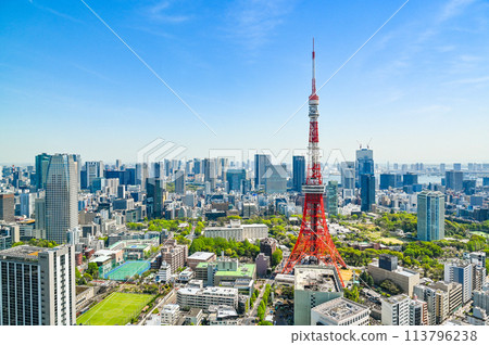 Cityscape of Tokyo, the capital of Japan 113796238