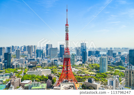 日本首都東京市景 113796247