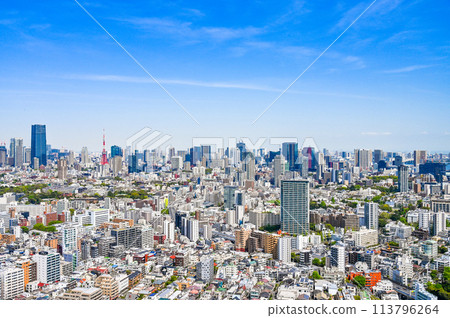日本首都東京市景 113796264
