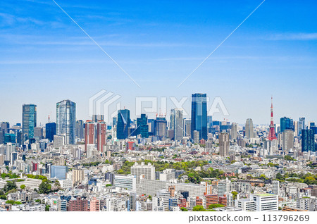 Cityscape of Tokyo, the capital of Japan Cityscape of Tokyo, the capital of Japan 113796269