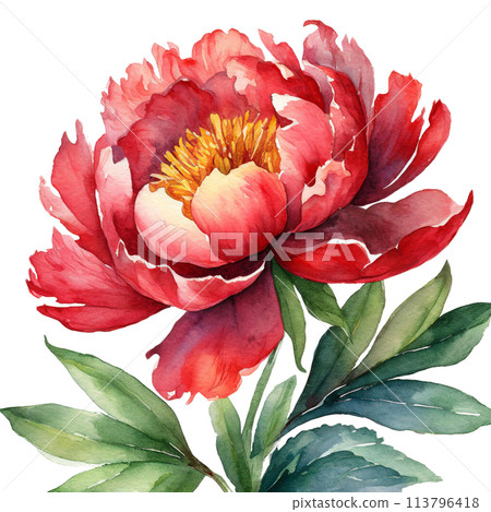 Watercolor touch button illustration 113796418
