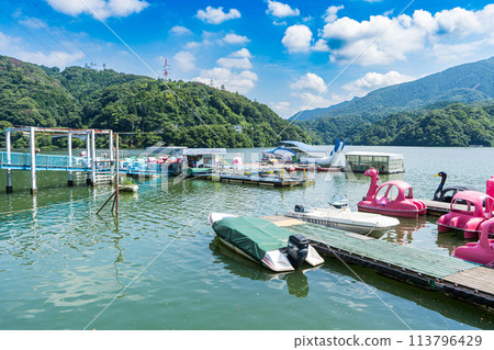 Scenery of Sagamiko Park in Kanagawa in midsummer 113796429