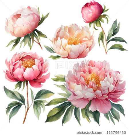 Watercolor touch button illustration 113796430