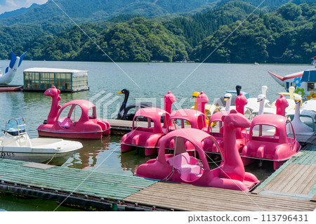 Scenery of Sagamiko Park in Kanagawa in midsummer 113796431