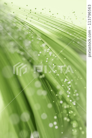 Flowing curves lines background, 3d rendering. Flowing curves lines background, 3d rendering. 113796563