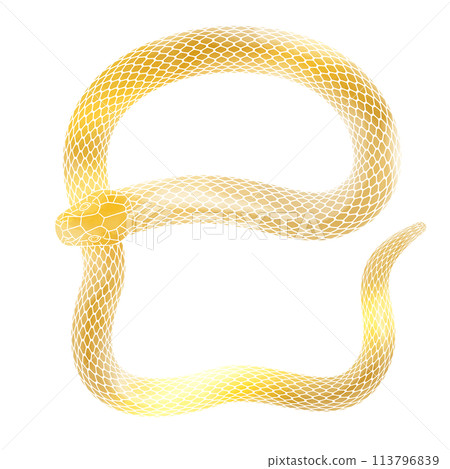 Illustration of a golden snake for the Year of the Snake, suitable for New Year's cards 113796839