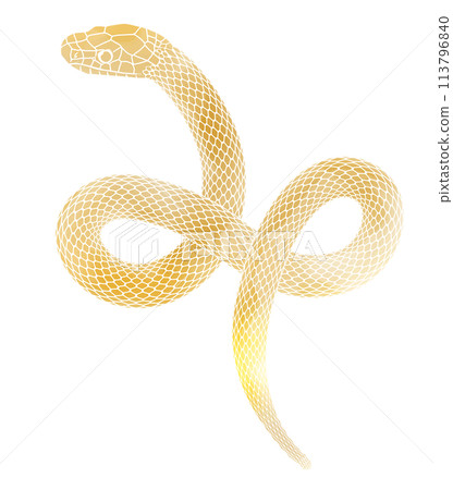 Illustration of a golden snake for the Year of the Snake, suitable for New Year's cards 113796840