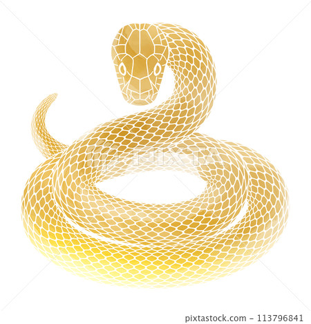 Illustration of a golden coiled snake for New Year's cards 113796841