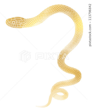 Illustration of a golden coiled snake for New Year's cards 113796842
