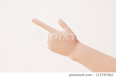 Hand gesture isolated on white background, 3d rendering. Hand gesture isolated on white background, 3d rendering. 113797062
