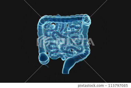 Intestinal tract with holographic effect, 3d rendering. 113797085