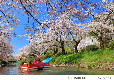 【富山縣】松川、松川遊船、櫻花盛開 113797874