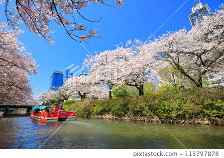【富山縣】松川、松川遊船、櫻花盛開 【富山縣】松川、松川遊船、櫻花盛開 113797878