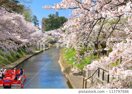 【富山縣】松川、松川遊船、櫻花盛開 113797886