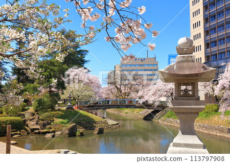【富山縣】松川、松川遊船、櫻花盛開 113797908